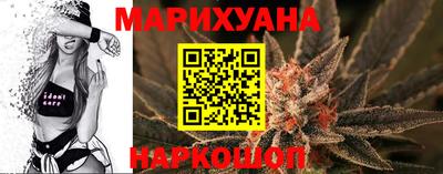 крисы Моздок