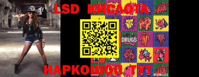 крисы Моздок