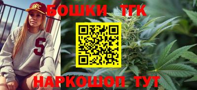 крисы Моздок